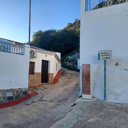 Casa Diego. Algodonales Εξωτερικό φωτογραφία